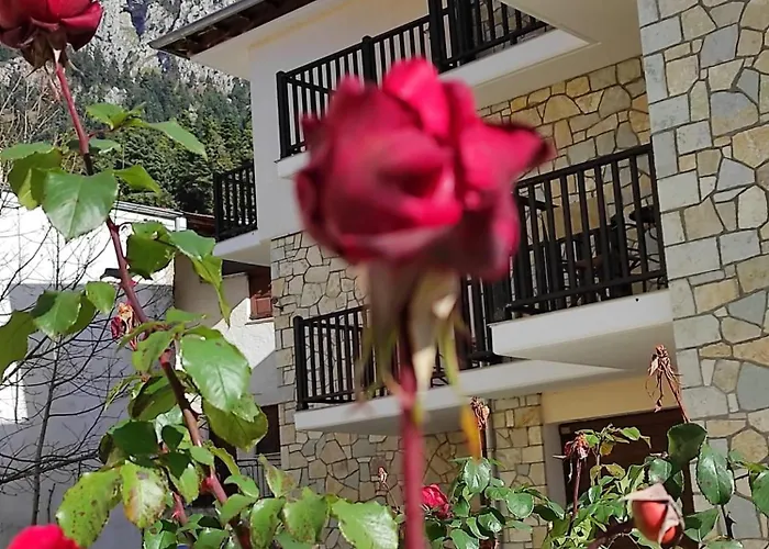 Hotel Kokkinos Vrachos